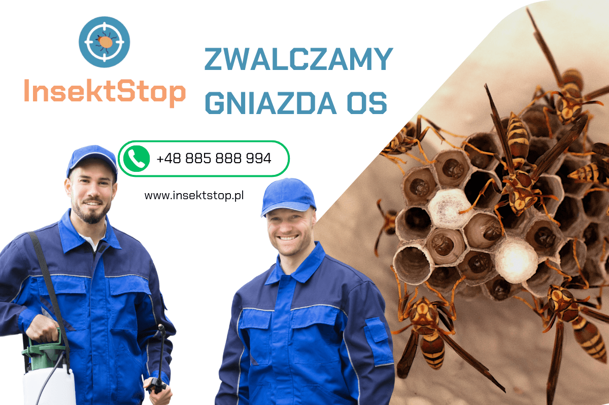 usuwanie gniazd os i szerszeni insektstop.pl